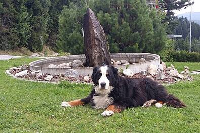 Ausflug mit Hund ins Joglland (c) Landhotel Berger 