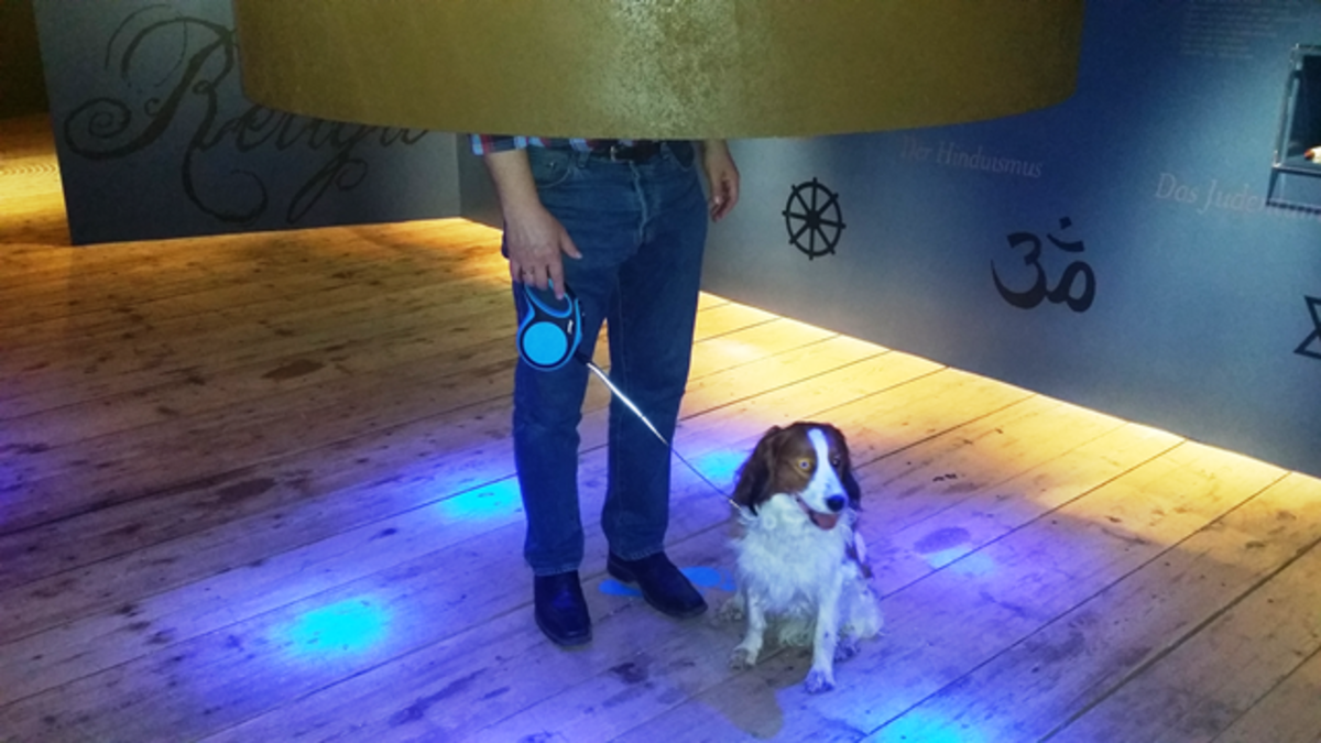 Kraftereich Steiermark Ausflugsziel Mit Hund