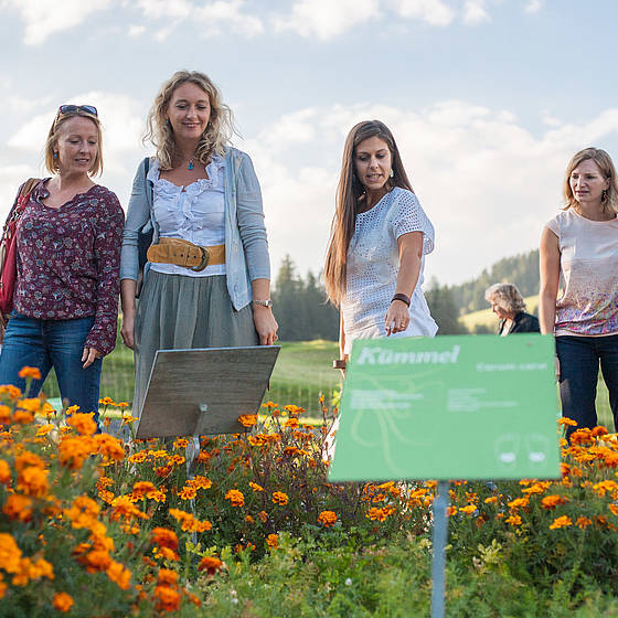 Im Kräftereich Kräutergarten (Foto: Busreisen Steiermark / Alexander Rauch)