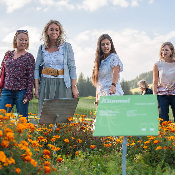 Führung im Kräutergarten (Foto: Busreisen Steiermark / Alexander Rauch)