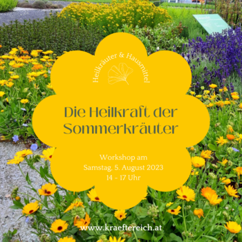 Workshop: Heilkräuter und Hausmittel Sommerkräuter